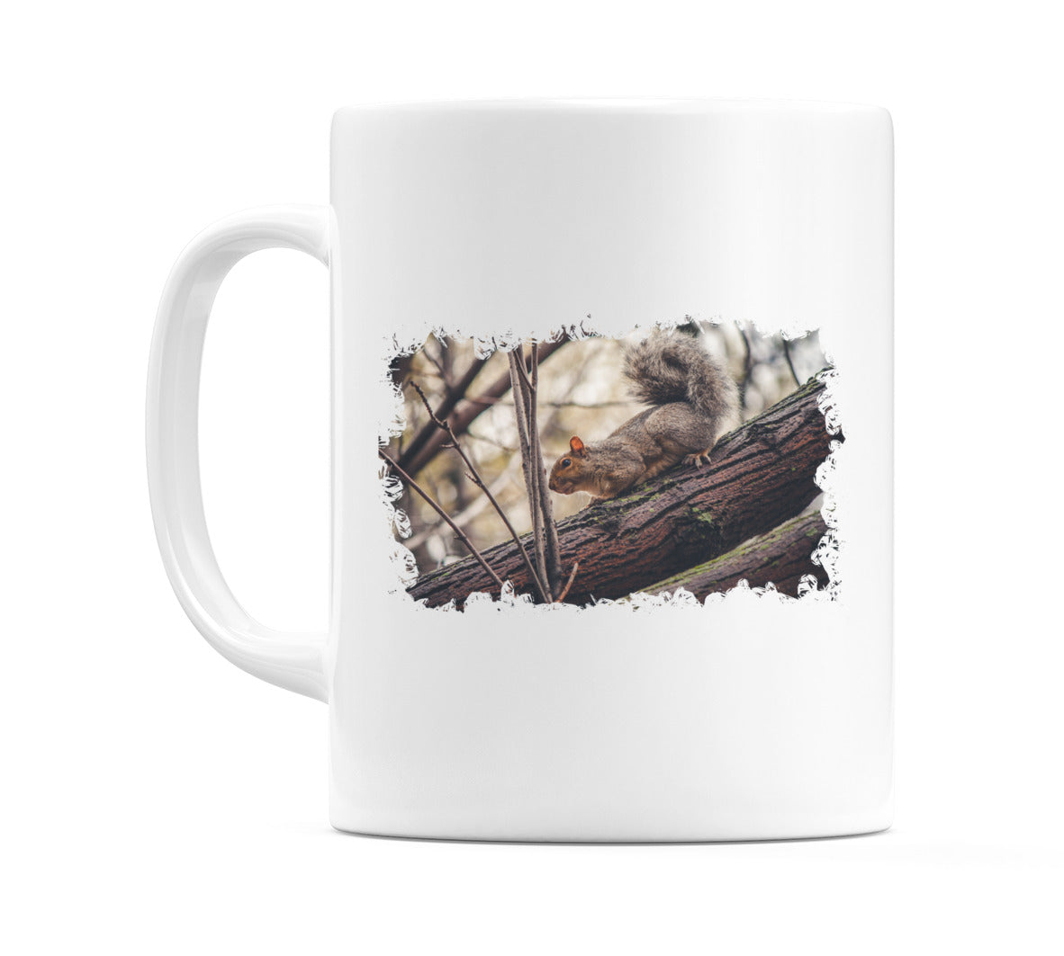 Woodland Squirrel (Photo) Mug